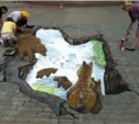 Новые 3D рисунки украсили Южно-Сахалинск
