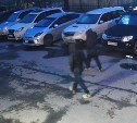 "Похоже на заказ": два парня "срезали" зеркала на "Лексусе" в Южно-Сахалинске, но попали на видео 