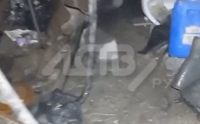 Общество