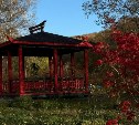 На Сахалине тепло и дождливо, а на Курилах ветрено и прохладно: прогноз погоды для региона на 24 октября