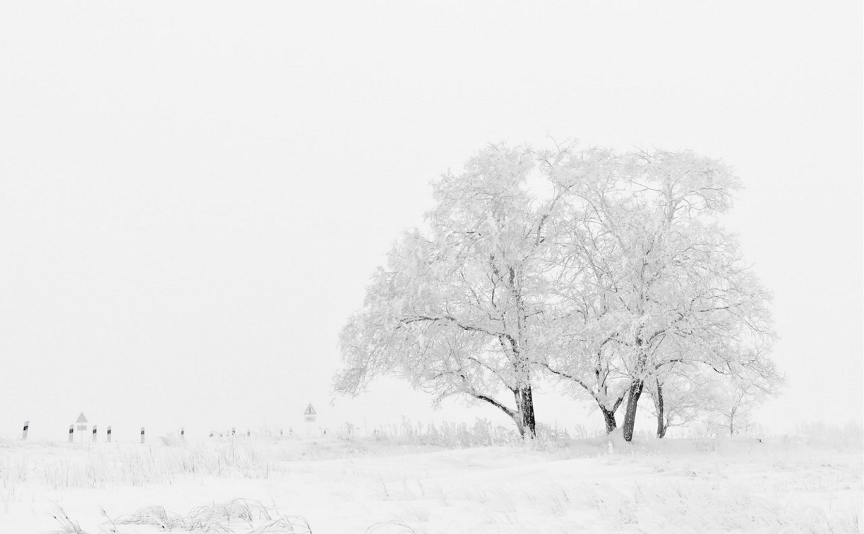 Пасмурно и до -23°: прогноз для Сахалинской области на 8 февраля