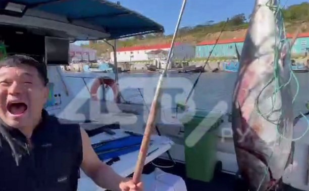 Новый рекорд: рыбаки на Итурупе поймали тунца весом в 300 килограммов