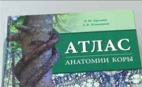 Общество