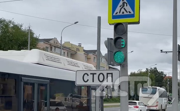 Южносахалинец едва не нарвался на штраф из-за "хитрого" светофора