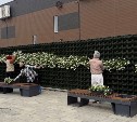 На самой большой фитостене Сахалина  началась посадка цветов