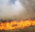 Сухая трава горела в Анивском районе