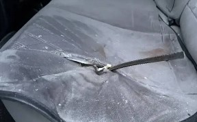 Общество