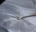 Штырь пробил днище автомобиля и пассажирское кресло: на Камчатке идёт суд по резонансному ДТП
