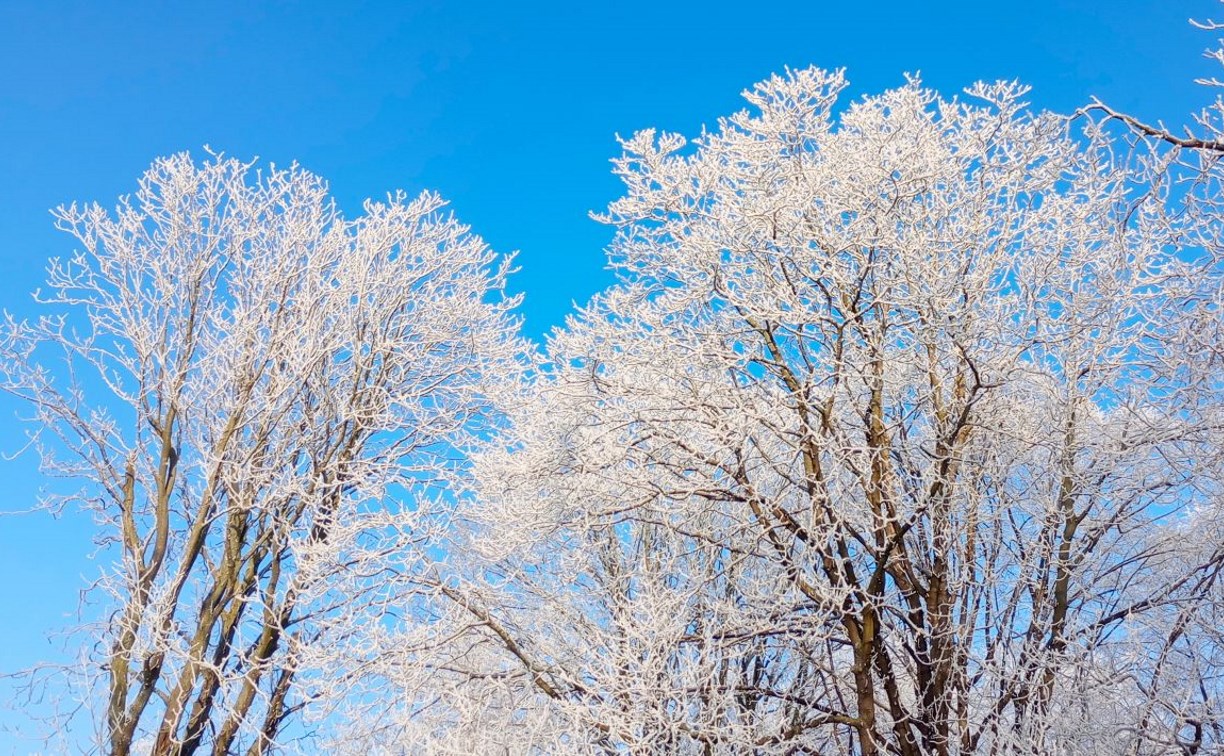 Морозы на севере, потепление на юге: какой будет погода 19 января в Сахалинской области