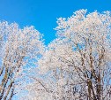 Морозы на севере, потепление на юге: какой будет погода 19 января в Сахалинской области