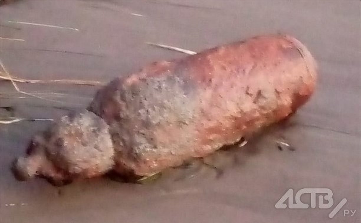 Найденная сахалинцем на берегу моря авиабомба оказалась старым кислородным баллоном
