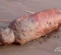 Найденная сахалинцем на берегу моря авиабомба оказалась старым кислородным баллоном