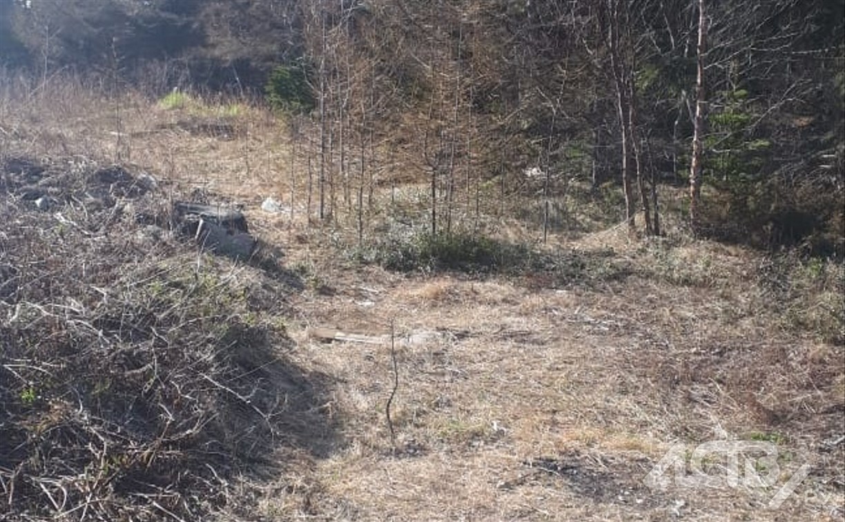 Филиал "пивного рая" исчез: неизвестные вывезли большую часть мусора с полянки под Корсаковом
