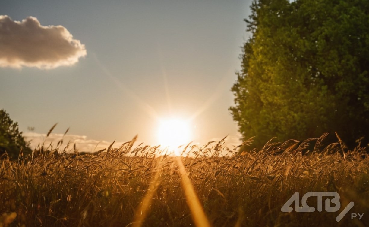 Небольшой дождь и +25 °C: прогноз погоды на 16 июня в Сахалинской области 