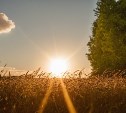 Небольшой дождь и +25 °C: прогноз погоды на 16 июня в Сахалинской области 