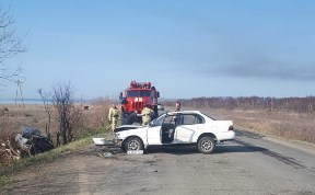 Происшествия