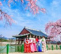 День зарубежных корейцев пройдет в главной библиотеке Сахалина