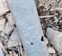 Дачница на Сахалине нашла корпус артиллерийского снаряда во время покоса травы