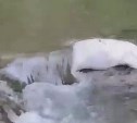 "Вонь стоит неимоверная": неизвестные на Сахалине выбросили 20 мешков с рыбой в реку