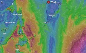 Происшествия