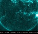 "Резкий рост рентген-излучения": на Солнце 29 марта произошла вспышка высочайшего балла X