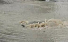 Происшествия