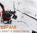 "День лопат" пройдёт в сахалинском зоопарке