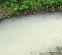 Прокуратура заинтересовалась сообщением о резком запахе хлорки от реки в Долинске