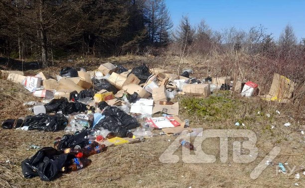 Филиал "пивного рая": алкогольный магазин на Сахалине вывез отходы производства на лесную полянку