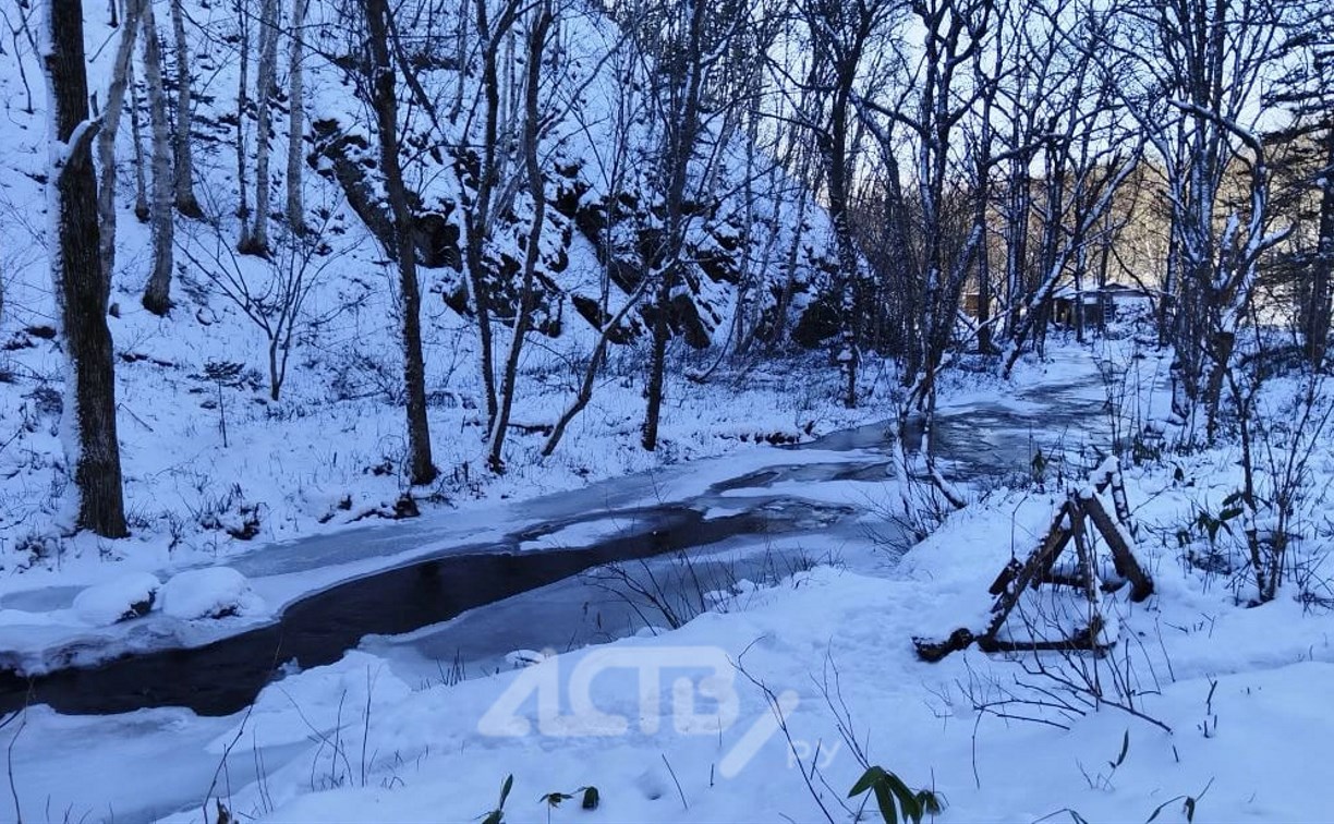 Немного снежно и до +7°C: прогноз для Сахалинской области на 7 декабря