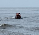 На Сахалине пожарные спасли оказавшегося на суше дельфина
