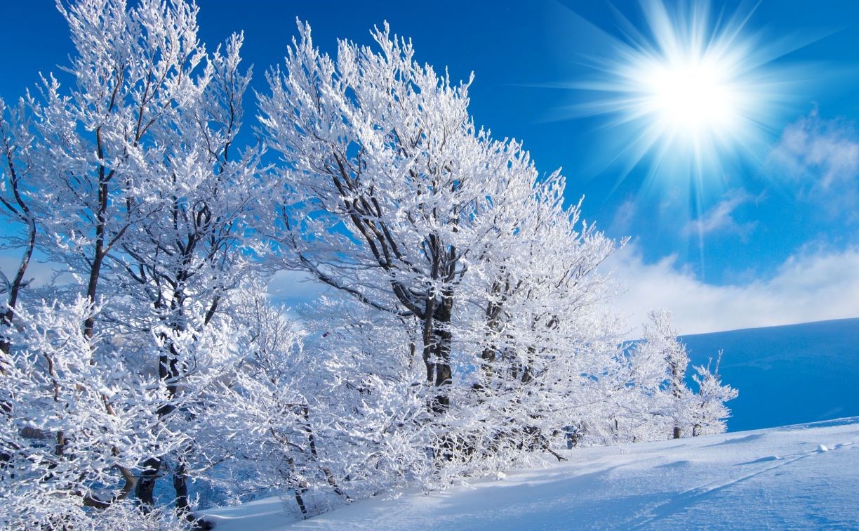 Циклон несёт на Сахалин метель и внезапное потепление: прогноз погоды на 1 февраля