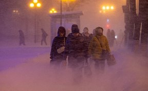 Общество