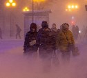 Мощнейшая метель, сгорел "Пёс и Кот", мужчина насмерть сбил людей: что читали на astv.ru в январе