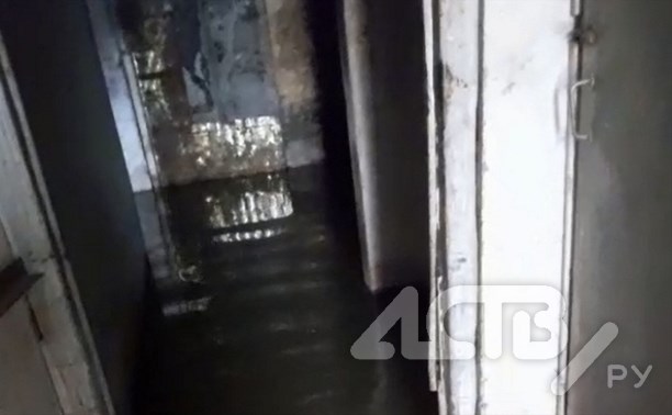 "И в бассейн ходить не надо": теплой водой с фекалиями топит подвал многоэтажки в Южно-Сахалинске 