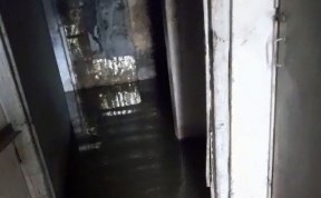 Общество