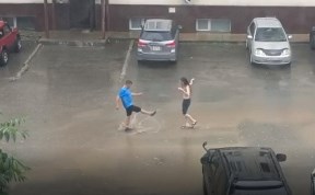 Общество