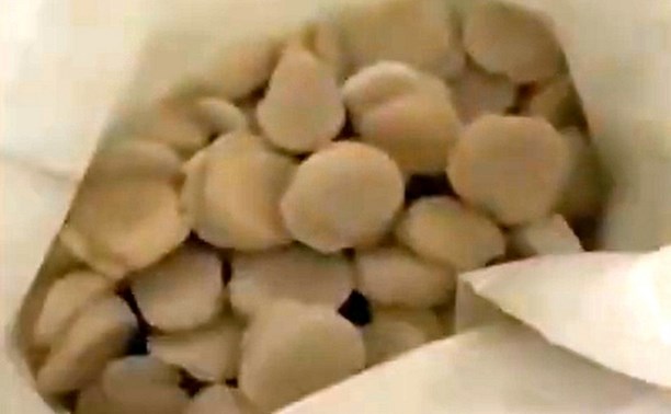 Незаконно добытый гребешок изъяли из ресторана и магазинов на Сахалине