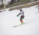 Официальный горнолыжный сезон на Сахалине завершили командной гонкой сильнейших