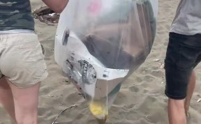 Общество