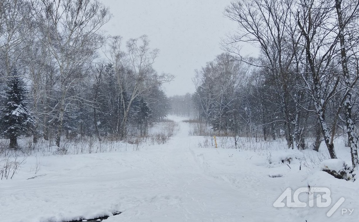 Снег и до -4 градусов: уточнённый прогноз погоды на юге Сахалина 16 февраля