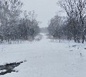 Снег и до -4 градусов: уточнённый прогноз погоды на юге Сахалина 16 февраля