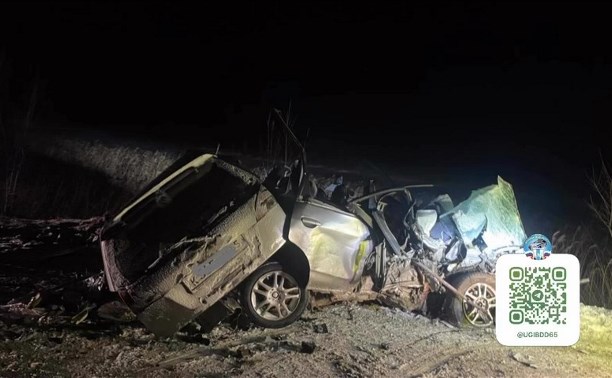 Два человека погибли на месте страшного ДТП в Долинском районе