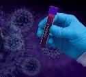 Стопкоронавирус.рф дал новую информацию по заболевшим на Сахалине  