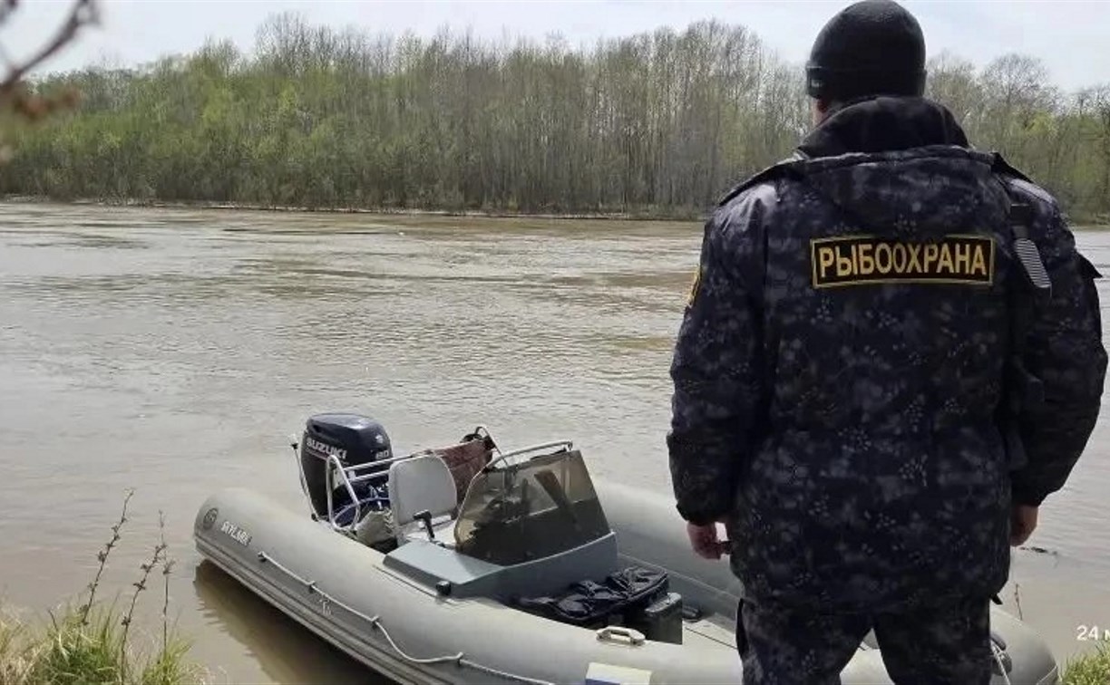 Более 50 орудий лова забрали у браконьеров на Сахалине за эту неделю 