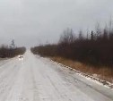Дорогу Оха-Ноглики закрыли для движения на Сахалине