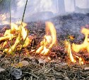 Высокая пожарная опасность прогнозируется в шести районах Сахалинской области