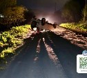 Несовершеннолетний получил травмы в пьяном ДТП в Невельском районе