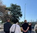 Срубить или оставить: жители Корсакова решают судьбу старой яблони