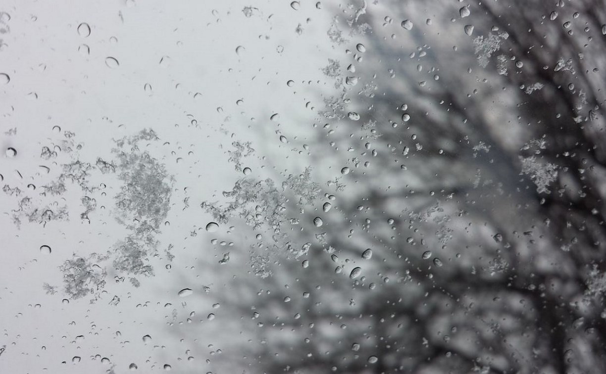 Мокрый снег и дожди идут на Сахалин